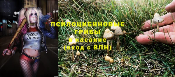 таблы Ладушкин