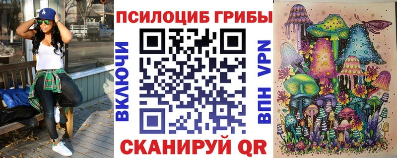 Псилоцибиновые грибы мухоморы  Купить закладки  Константиновск 